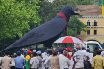 பிரமாண்டமான காகத்துடன் ஆரம்பமான  போராட்டம்!