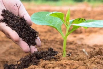 நோர்வே தூதரக அதிகாரி உதவியுடன் இலங்கையில் புதிய மறுசுழற்சி எரிசக்தி திட்டம்