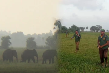 மட்டக்களப்பில் காட்டு யானைகளின் அட்டகாசம்