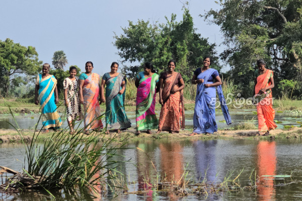 மாந்தை மேற்கில் ஆரம்பித்து வைக்கப்பட்ட பொது வளங்களை முகாமை செய்தல் திட்டம் | Public Resources Management Project Launch மாந்தை மேற்கில் ஆரம்பித்து வைக்கப்பட்ட பொது வளங்களை முகாமை செய்தல் திட்டம் | Public Resources Management Project Launch