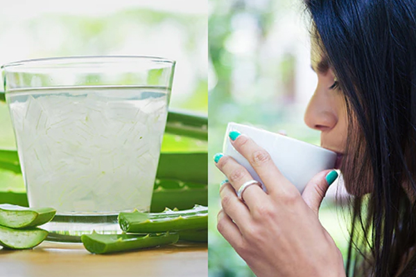 ஆயுர்வேத மருத்துவமாக பயன்படுத்தப்படும் கற்றாழை | Aloe Vera Is Used In Ayurvedic Medicine