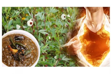 குடல் புண்களை ஆற்றும் புளிச்சக்கீரை துவையல் - சுவையாக செய்வது எப்படி?