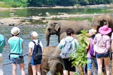 இலங்கைக்கு அதிகளவில் வருகை தந்துள்ள சுற்றுலாப்பயணிகள்