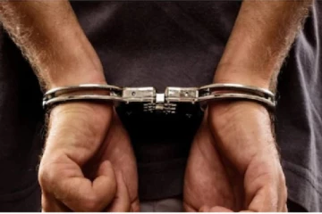 ராஜாங்க அமைச்சர் அருந்திக பெர்னாண்டோவின் புதல்வர் கைது