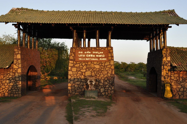யால தேசிய பூங்காவில் அறிமுகமாகும் புதிய திட்டம் ; சுற்றுலா பயணிகளுக்கு மகிழ்ச்சி தகவல் | Yala National Park Unveils New Initiative