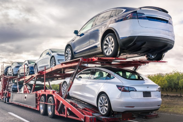 வாகன இறக்குமதி :அரசுக்கு கிடைத்த பில்லியன் வருமானம் | Govt Earns Rs 904 Bn From Vehicle Imports