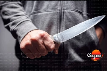 අනේ දෙයියනේ සැමියා බිරිදව කපා කොටා මරලා