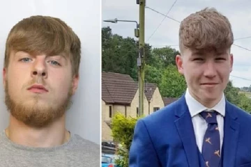 தாயார் எடுத்த அந்த துணிச்சலான முடிவு.... பிரித்தானிய இளைஞருக்கு ஆயுள் தண்டனை