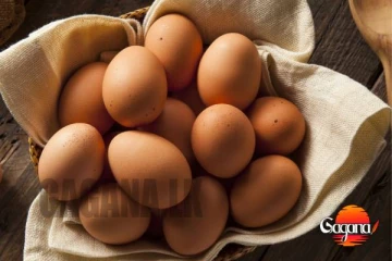 බිත්තර ආනයනයට සැරසෙන ඇමරිකාව