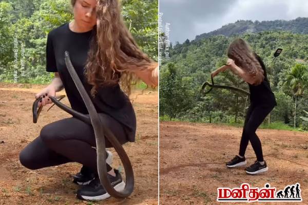 பெண்ணை ஆக்குரோஷமாக தாக்கும் Black mamba பாம்பு... பதறவைக்கும் வைரல் காணொளி! | Black Mamba Snake Aggressive Attack Video Viral பெண்ணை ஆக்குரோஷமாக தாக்கும் Black mamba பாம்பு... பதறவைக்கும் வைரல் காணொளி! | Black Mamba Snake Aggressive Attack Video Viral