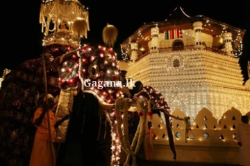 ඇසළ පෙරහැර කාල සීමාවේ විශේෂ රථවාහන සැලැස්මක්. (PHOTOS)