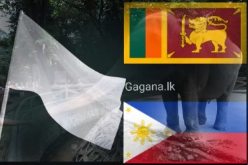 ලෝකයේම අවධානය දිනාගත් "මාලි" කනගාටුදායක ලෙස අවසන් ගමන් යයි..(PHOTOS)