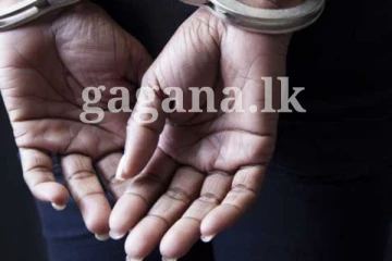 අරලියගහ මන්දිරය අසල ජයටම කරගෙන ගිය ගණිකා නිවාසයක් වටලයි - එහි සිදු වූ දේ..