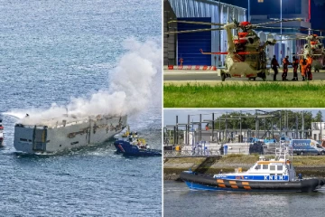 திடீரென தீப்பிடித்து எரிந்த சரக்கு கப்பல் ; 3000 கார்கள் எரிந்து சேதம்; இந்தியர் பலி