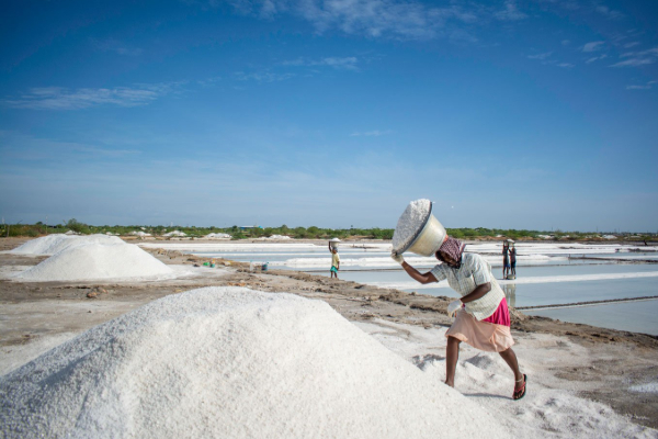 அம்பாந்தோட்டையில் மீண்டும் ஆரம்பமான உப்பு உற்பத்தி | Salt Production Resumed In Hambantota