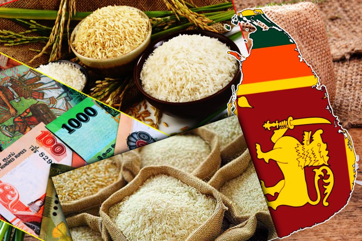 அரிசித் தட்டுப்பாட்டை சமாளிக்க இறக்குமதி - கிடைத்த அமைச்சரவை அனுமதி | Cabinet Approves Rice Imports Rice Varieties அரிசித் தட்டுப்பாட்டை சமாளிக்க இறக்குமதி - கிடைத்த அமைச்சரவை அனுமதி | Cabinet Approves Rice Imports Rice Varieties