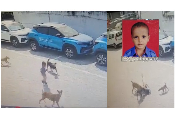 hyderabad-a-4-year-old-boy-death-by-stray-dogs