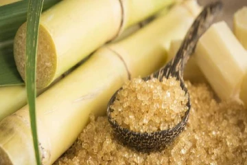சீனி நெருக்கடிக்கு தீர்வாக கரும்பு உற்பத்தி