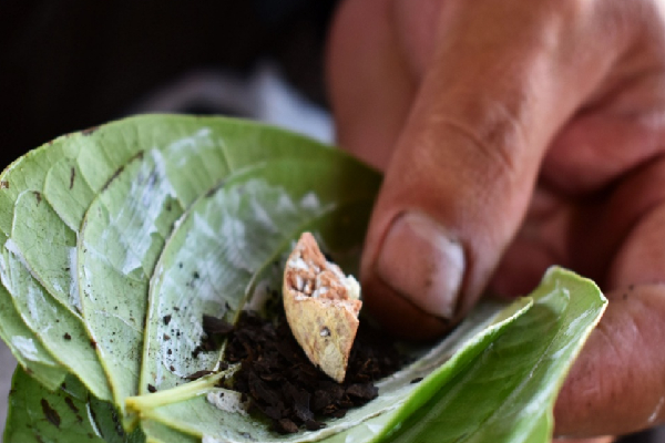 யாழில் வெற்றிலை மென்றவருக்கு 40 ரூபா ஆயிரம் தண்டம் | Betel Nut Chewer In Jaffna Fined Rs 40 000