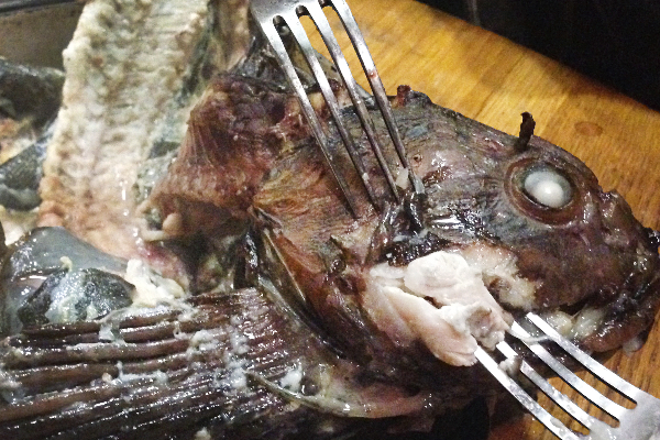 இதய நோயாளிகள் மீன் தலை சாப்பிட்டால் என்ன நடக்கும்  தெரியுமா?... இனி தெரிஞ்சிட்டு சாப்பிடுங்க! | Fish Head Nutrition Amazing Health Benefits