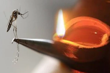 நல்லெண்ணை விளக்கு ஏற்றுவீங்களா? இந்த 2 பொருள் சேர்த்தா கொசுக்கள் இருக்காது