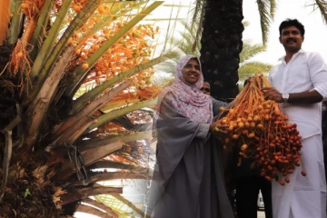 அரபு தேசமாக ஜொலிக்கும் காத்தான்குடி (Photos)