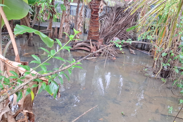 மட்டக்களப்பில் இடையிடையே மழை - பாதிப்பை எதிர்கொள்ள தயார் நிலையில் படையினர் | Weather Warning In Sri Lanka மட்டக்களப்பில் இடையிடையே மழை - பாதிப்பை எதிர்கொள்ள தயார் நிலையில் படையினர் | Weather Warning In Sri Lanka