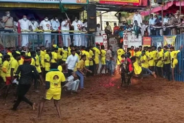 அவனியாபுரம் ஜல்லிக்கட்டில் முதலிடம் பிடித்த மாடுபிடி வீரர் முருகன் உள்பட 14 பேர் காயம்