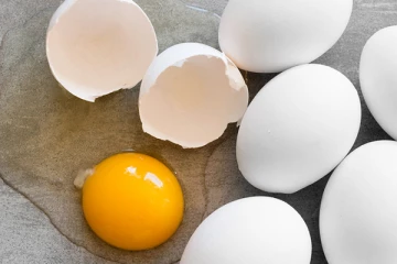 உலக முட்டைகள் தினம்! முட்டை பற்றி கட்டாயம் நாம் அறிந்திருக்க வேண்டியது