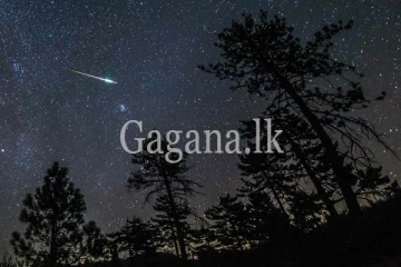 අද උතුරු අහසේ ලයිරිඩ්ස් දිස්වෙයි.