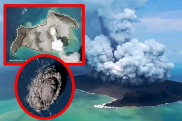 டோங்காவை உலுக்கிய ஆழிப்பேரலை! பீதியில் அலறி அடித்து ஓடிய மக்கள் (காணொளி)