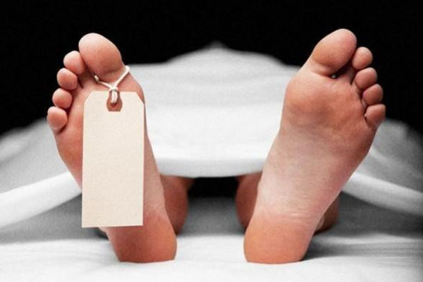 மின்சாரம் தாக்கி தம்பதியினர் பரிதாபமாக பலி | Couple Tragically Died Due To Electrocution