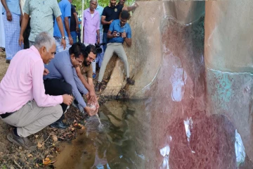 வவுனியாவில் 6 குளங்களில் விடப்பட்ட இரண்டு இலட்சத்து 35 ஆயிரம் இறால் குஞ்சுகள்