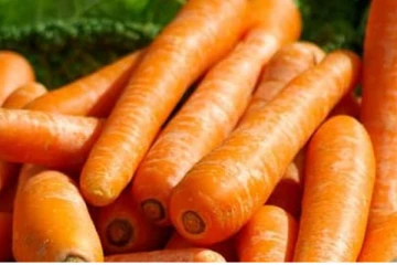 கேரட்டை பச்சையாக சாப்பிடுவதால் இவ்வளவு நன்மைகளா?