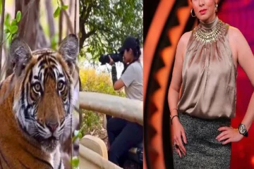wild life photographer ஆக மாறிய பிரபல நடிகை... அட இவங்க தானா!