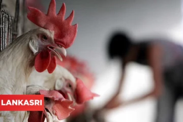 ஐரோப்பிய நாடுகளுக்கு திடீர் தடை விதித்த சீனா! எதற்காக?