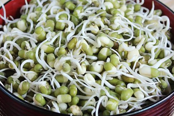 முளைக்கட்டிய பயிரில் சமைத்து தினமும் சாப்பிடலாமா? கட்டாயம் தெரிஞ்சிக்கோங்க...! | Food Sprout Dishes How To Add Taste To You