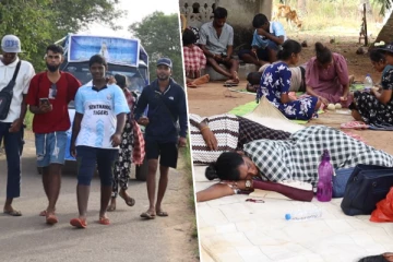 மடு அன்னையின் ஆவணி திருவிழா - பல்லாயிரக்கணக்கான பக்தர்களின் யாத்திரை