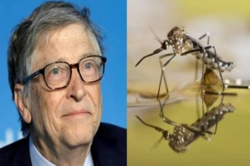 கொசுக்களை தயாரிக்கும் பில்கேட்ஸ் நிறுவனம்! எதற்காக தெரியுமா?