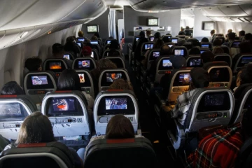 சுவிஸ் ஏர் விமானத்தில் முகம் சுழிக்க வைத்த தம்பதியின் செயல்!