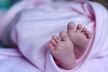 யாழில் தாய் பால் கொடுக்காததால் உயிரிழந்த குழந்தை! (video)