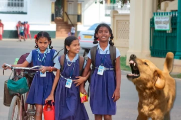 தெரு நாய் தாக்குதல்.., பள்ளி மாணவர்களுக்கு பள்ளிக்கல்வித்துறை அறிவுரை