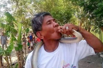 நாகப் பாம்பை பிடித்த உலகின் பாம்பு மனிதனுக்கு நேர்ந்த கதி! அதீத நம்பிக்கையால் நடந்த விபரீதம்: அடித்தே கொன்ற கிராம மக்கள்