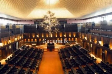 නව පාර්ලිමේන්තුවේ පත්වෙන්න ඉන්න කථානායක සහ සභානායක මෙන්න.