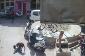 5 வயது சிறுமியை துரத்தி சென்று கடித்து குதறும் நாய் - பதபதைக்க வைக்கும் சிசிடிவி வீடியோ காட்சி