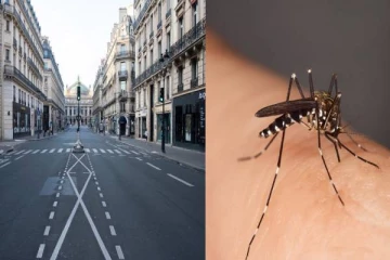 பாரீஸில் சாலைகள் மூடப்பட்டு வீடுகளுக்குள் இருக்கும்படி கேட்டுக்கொள்ளப்பட்ட மக்கள்: பின்னணி