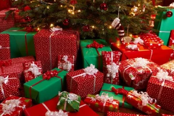 கிறிஸ்மஸ் பரிசால் நடந்த பகீர் சம்பவம்: சகோதரியை கொன்ற இரு சகோதரர்கள்!