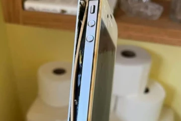 பாத்ரூமில் கேட்ட விசித்திர சத்தம்.. 10 ஆண்டுகளுக்கு பிறகு கிடைத்த விலை உயர்ந்த பொருள்.. சுவாரஸ்ய தகவல்