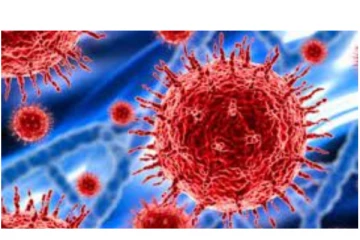 ஒமைக்ரான் வைரஸ் யாருக்கெல்லாம் பரவும்ன்னு தெரியுமா? உலக சுகாதார அமைப்பு வெளியிட்ட  தகவல்