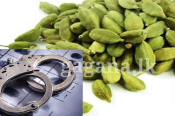 එනසාල් සොරකමේ ගිය තුනකට වැඩ වැරදෙයි..